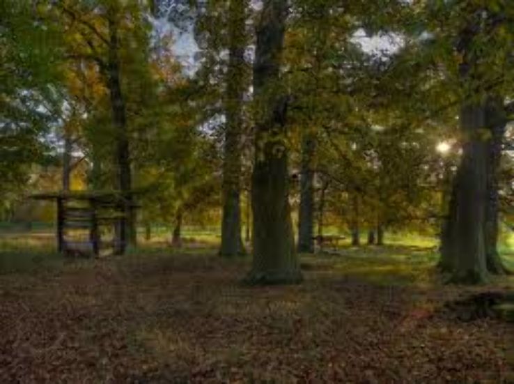 Sun Meadow Park Trip Packages