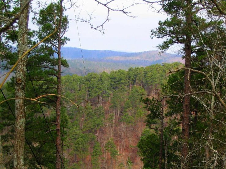 Ouachita National Forest  Trip Packages