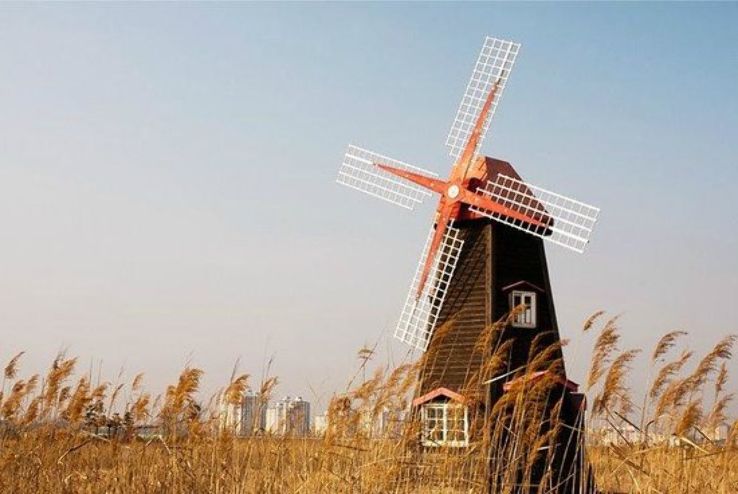 Sorae Ecology Park Trip Packages