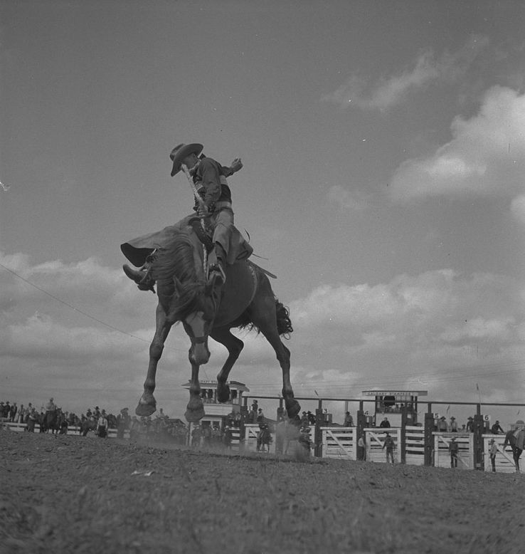Calgary Stampede  Trip Packages
