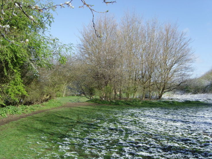 Aylestone Meadows Trip Packages