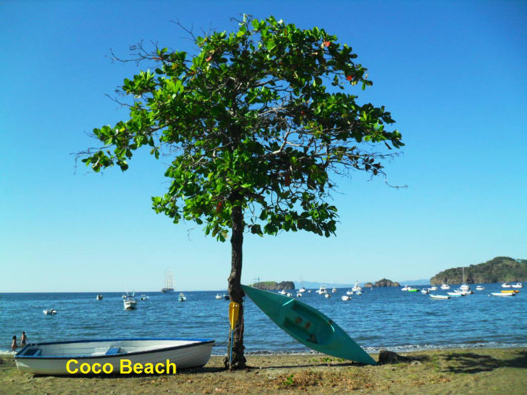 Playas del Coco  Trip Packages
