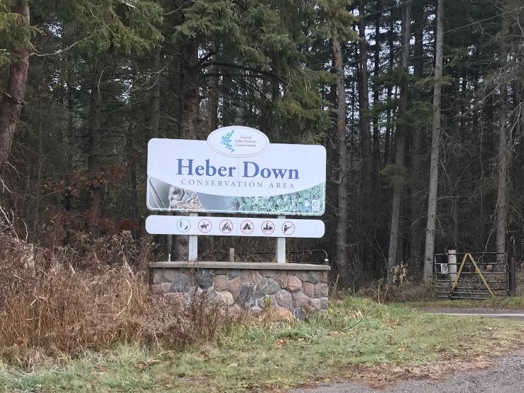 Heber Down Conservation Area Trip Packages