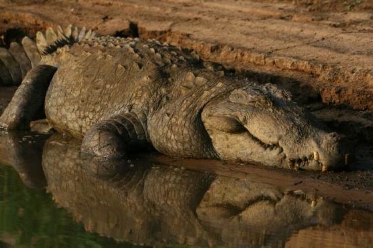 Satkosia Trip Packages