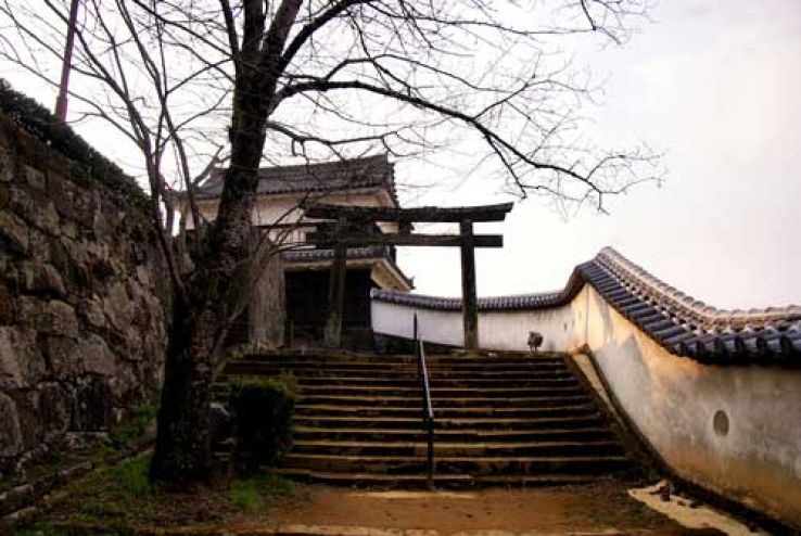 Usuki Castle Trip Packages