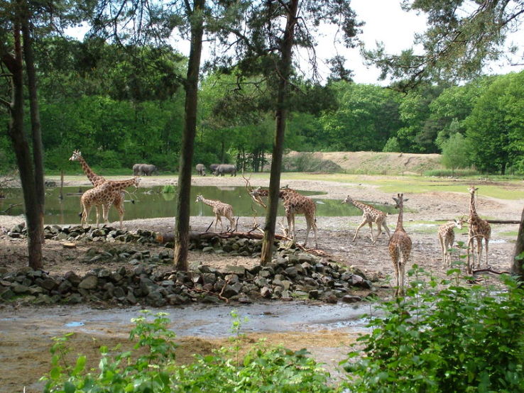 Beautiful 2 Days Back To Home to Best Things To Do In Ooty Tour Package