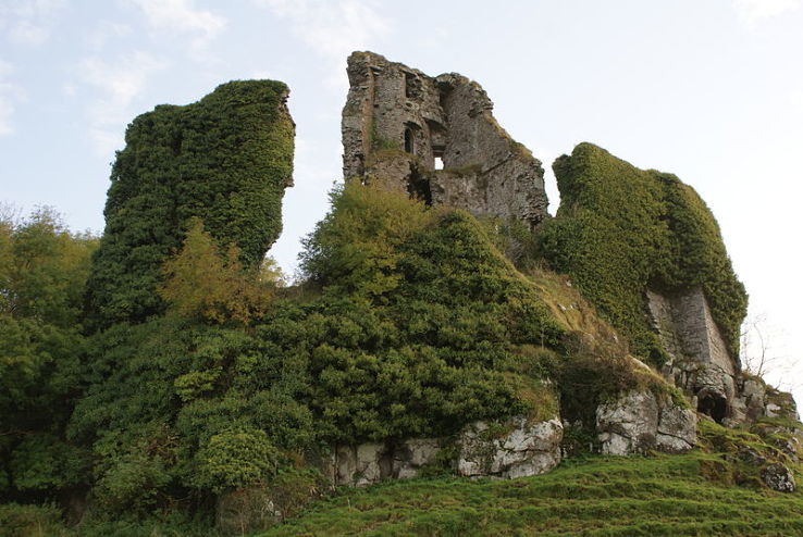 Carrigogunnell Castle Trip Packages