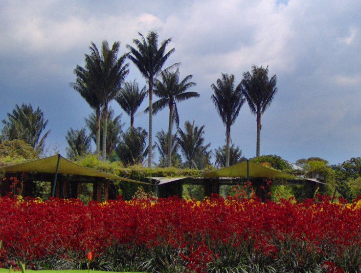 Bogota Botanical Garden Trip Packages