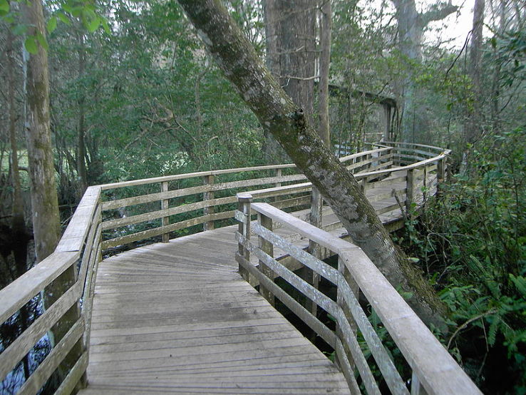 Corkscrew Swamp Sanctuary, naples, United States Of America Top