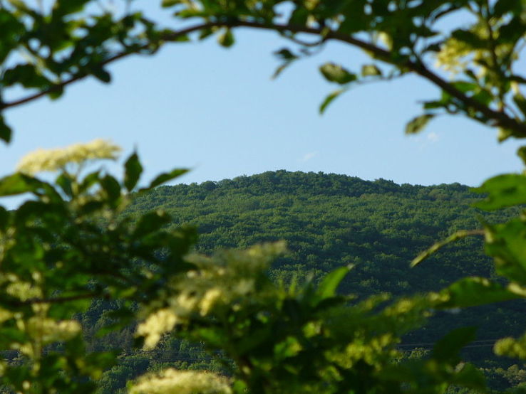 Devinska Kobyla Trip Packages