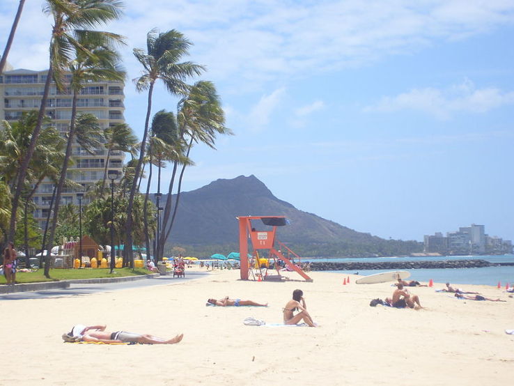Diamond Head Trip Packages