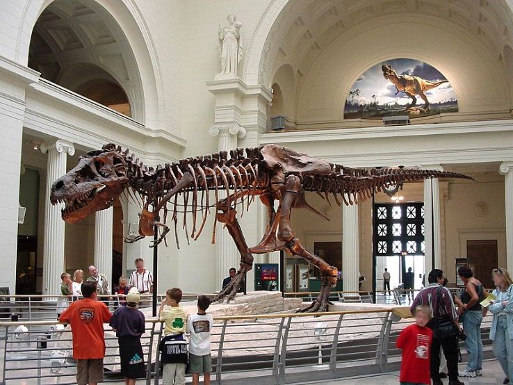 Field Museum of Natural History, chicago, United States Of America