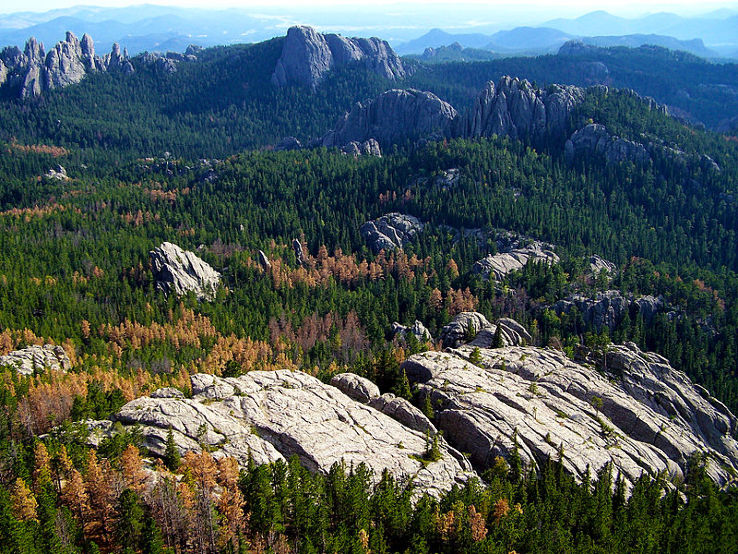 Black Hills National Forest Trip Packages