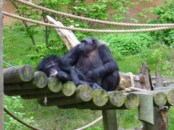 Pleasurable 4 Days 3 Nights Holland Nature Holiday Package