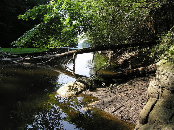 Mianus River Gorge Trip Packages