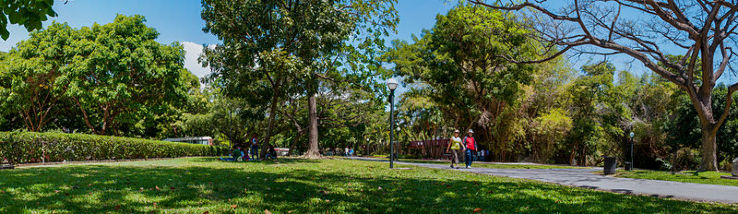 Parque Negra Hipolita Trip Packages