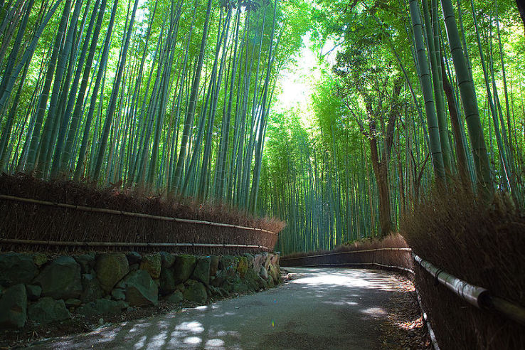 Arashiyama Trip Packages