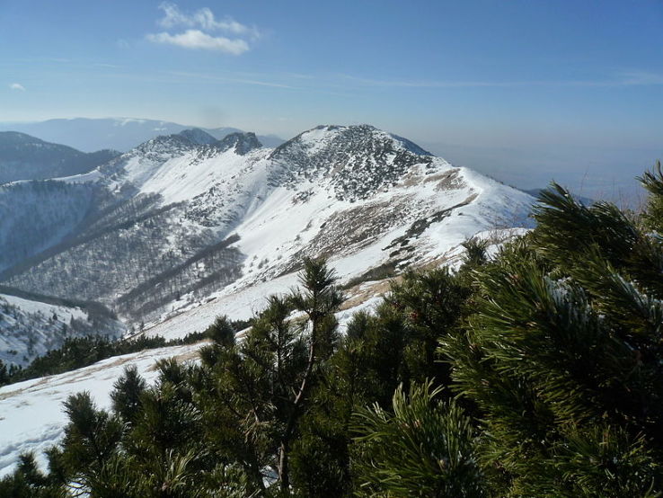 Stratenec Trip Packages