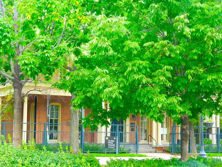 Hull House Trip Packages