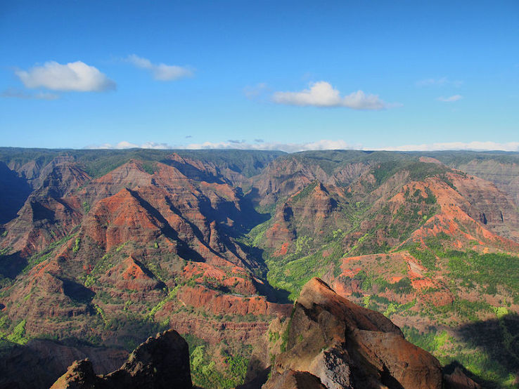 Waimea Canyon State Park Trip Packages