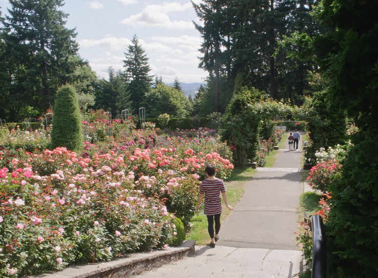 International Rose Test Garden Trip Packages
