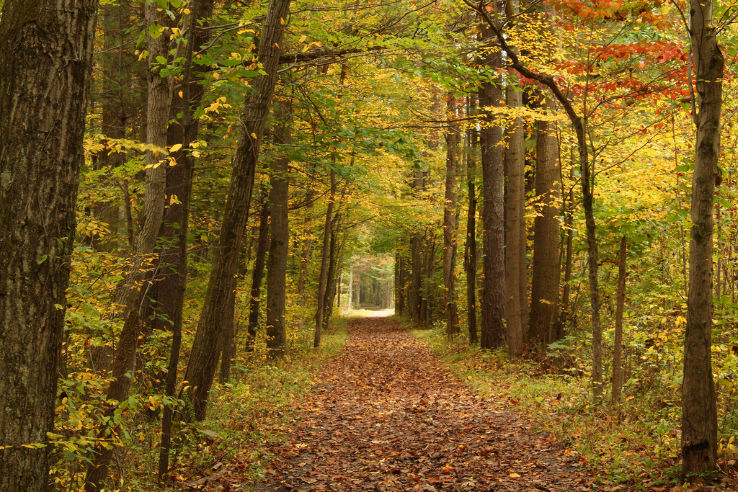 Jacobsburg State Park  Trip Packages