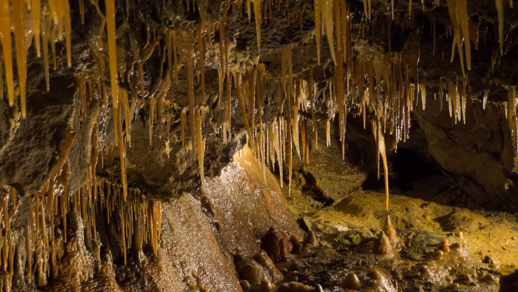 Peak Cavern Trip Packages