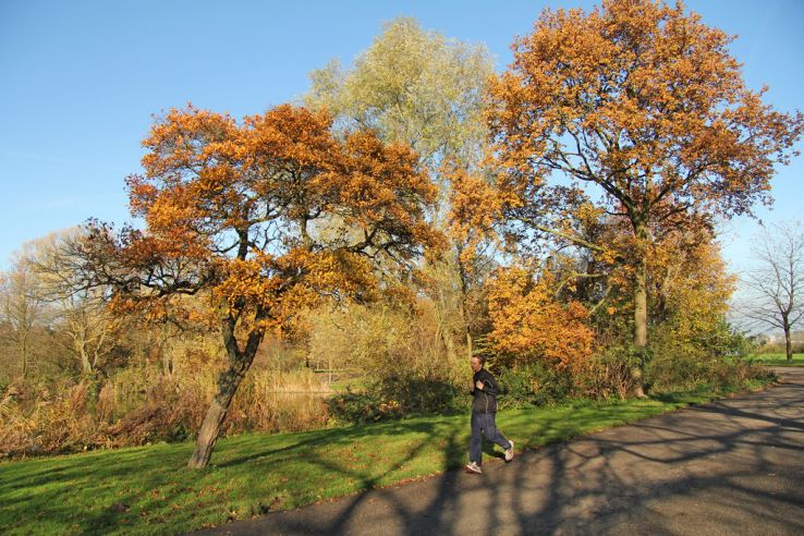 Flevopark Trip Packages Flevopark Trip Packages