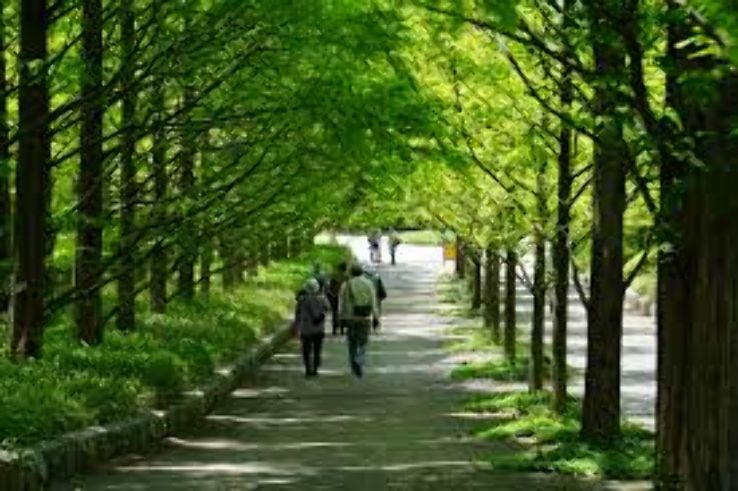 Kobe Municipal Arboretum Trip Packages