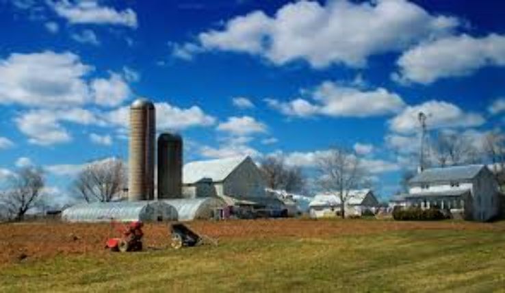 The Amish Farm and House Trip Packages