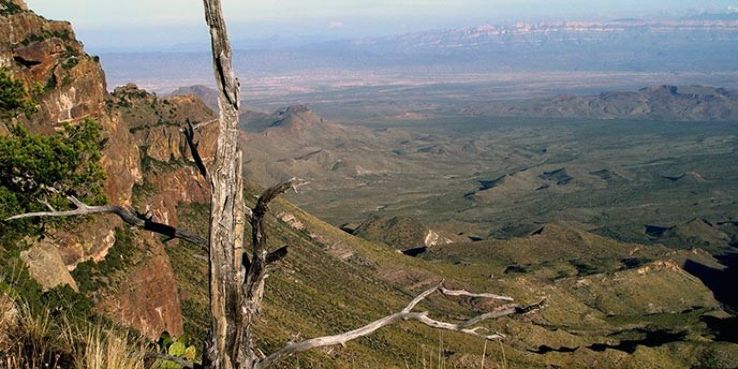 Creeks Park Trip Packages