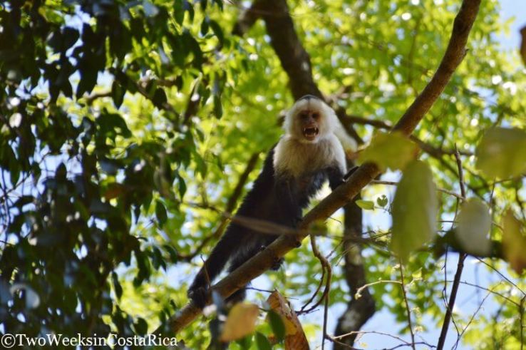 Palo Verde National Park Trip Packages