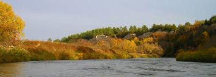 Moonshine Beach Park Trip Packages