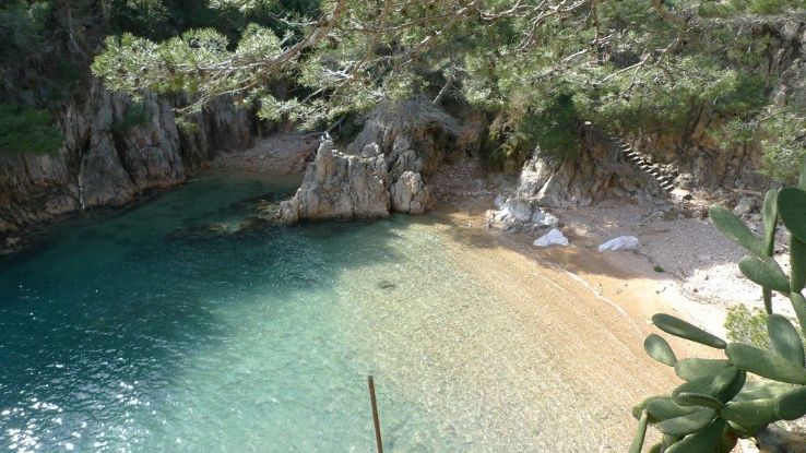 Awashima Prefectural Natural Park Murakami Trip Packages