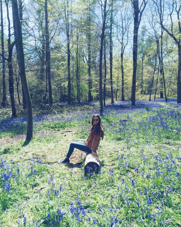 Whippendell Wood Trip Packages