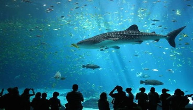 Nausicaa Centre National de la Mer Trip Packages