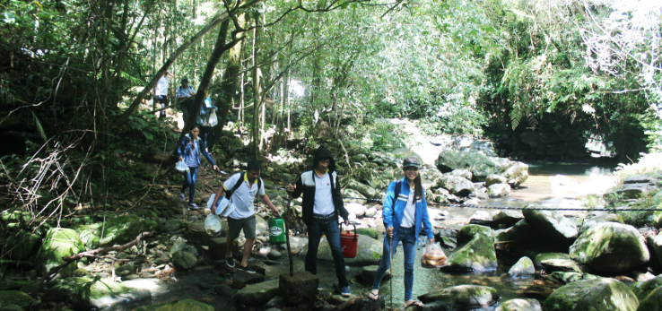 Jungle At Bach Ma National Park  Trip Packages