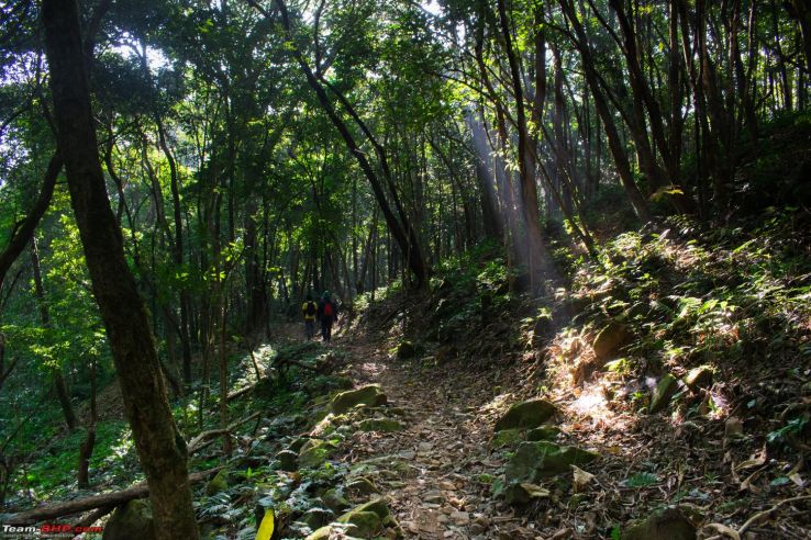 Nokrek National Park Trip Packages Nokrek National Park Trip Packages