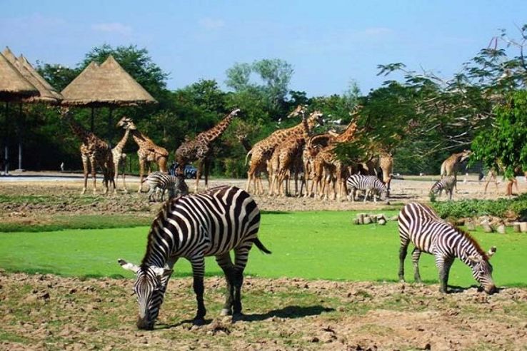 UI Zooogical Garden Ibadan Trip Packages
