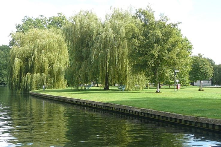 Runnymede Trip Packages