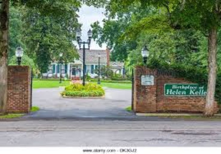 Ivy Green Trip Packages