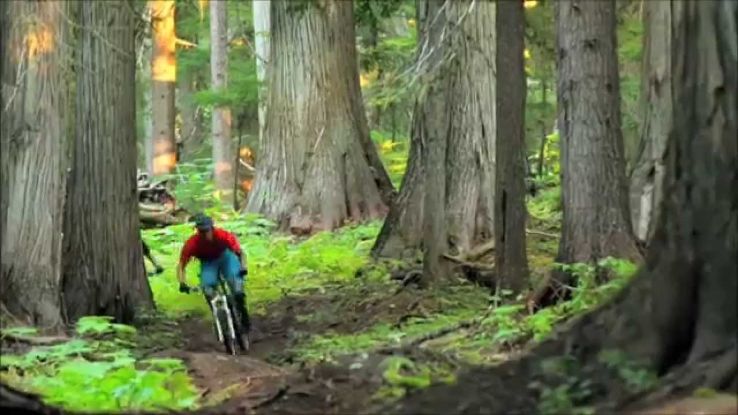 The Nelson area on a mountain bike Trip Packages