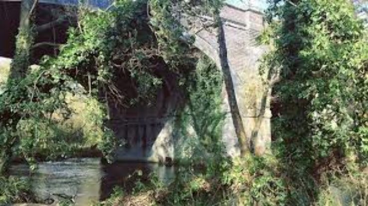 Denham Country Park Trip Packages