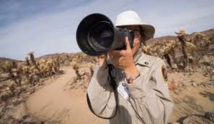 Joshua Trip Packages