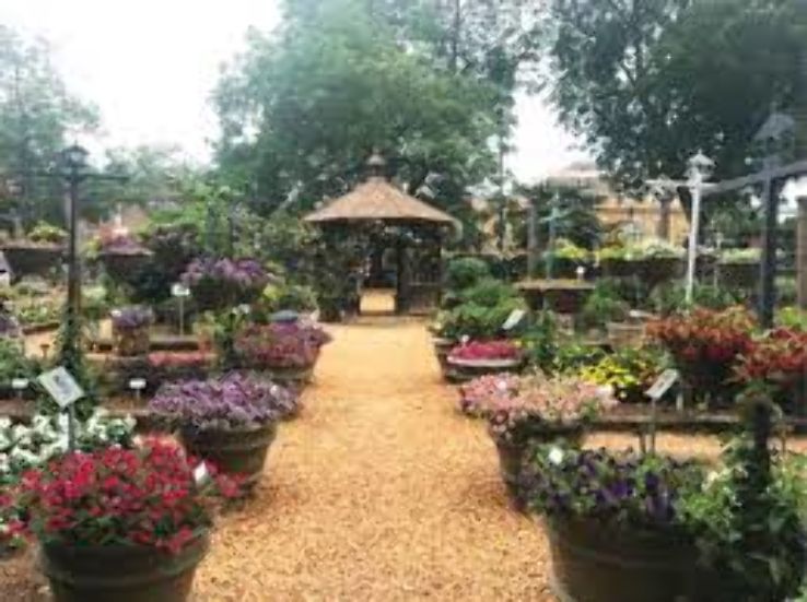 Trial Gardens Trip Packages