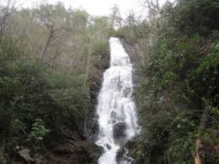 Mingo Falls Trip Packages