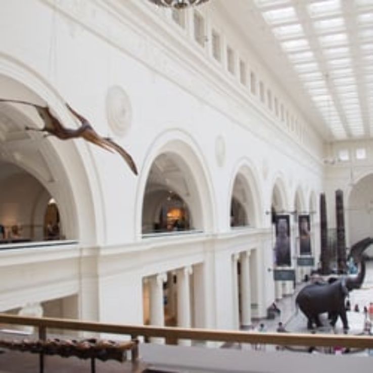 The Field Museum Trip Packages