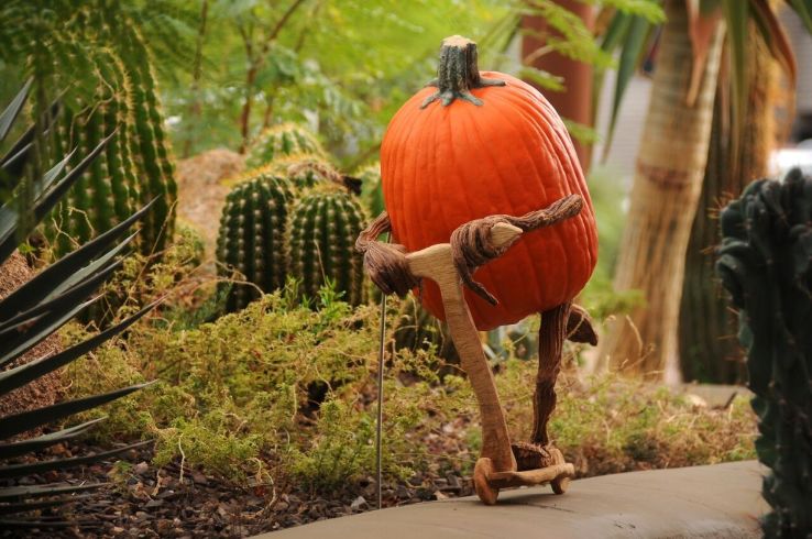 Enchanted Pumpkin Garden Trip Packages