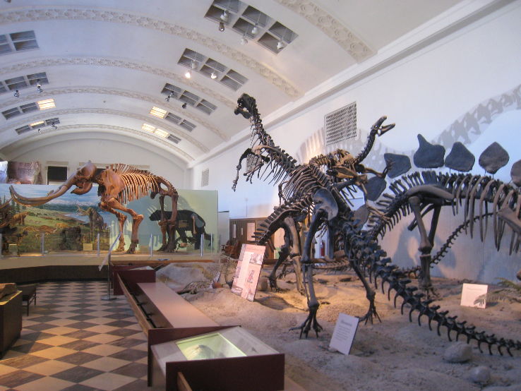 Natural History Museum of Utah Trip Packages