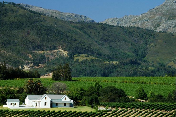 Alkmaar Boutique Vineyard Trip Packages